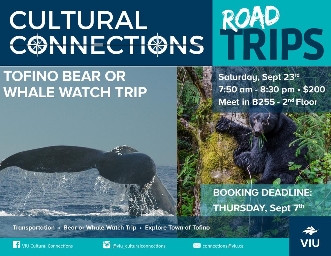 Tofino Bear or Whale Watching Trip