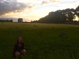 Student on exchange in Australia with kangaroos